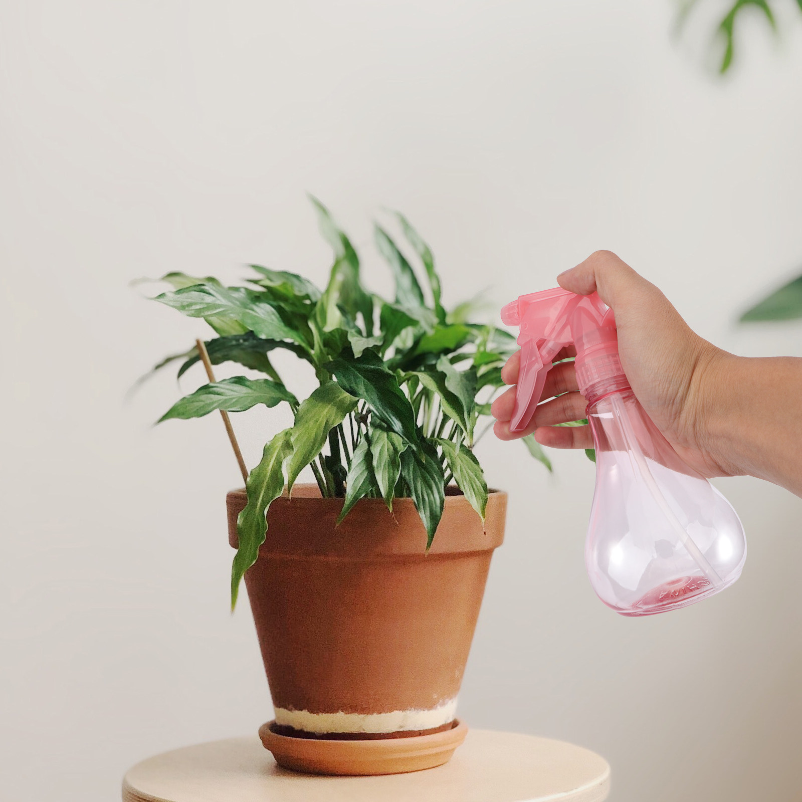 مجموعة أدوات زراعة النباتات ال - مراجعة Gardening Tools And Accessories وسعره