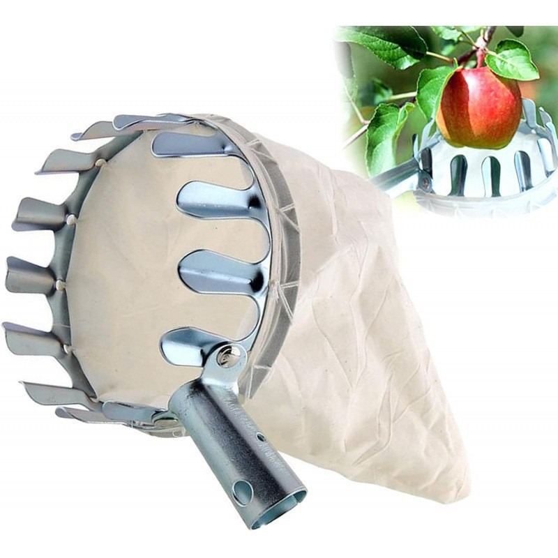 رأس سلة حصاد الفاكهة المعدنية، - مراجعة Gardening Tools Basket وسعره