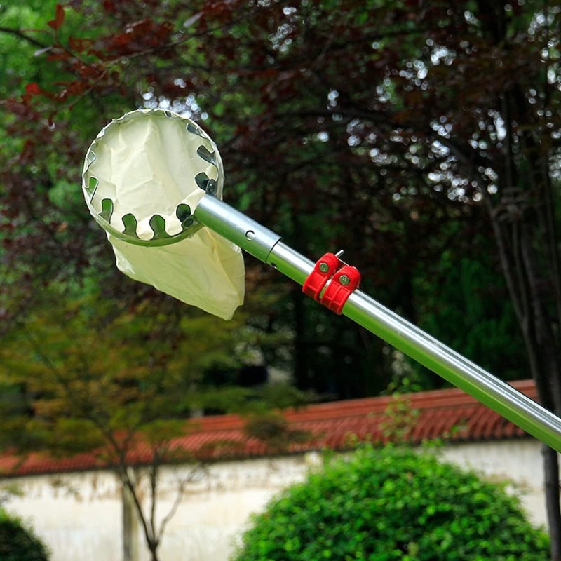 رأس سلة حصاد الفاكهة المعدنية، - مراجعة Gardening Tools Basket وسعره