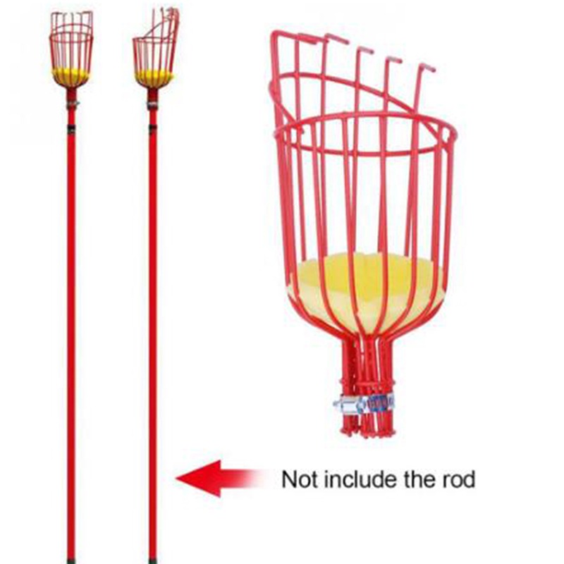 رأس قطفة فواكه عميق محمول للاس - مراجعة Gardening Tools Basket وسعره