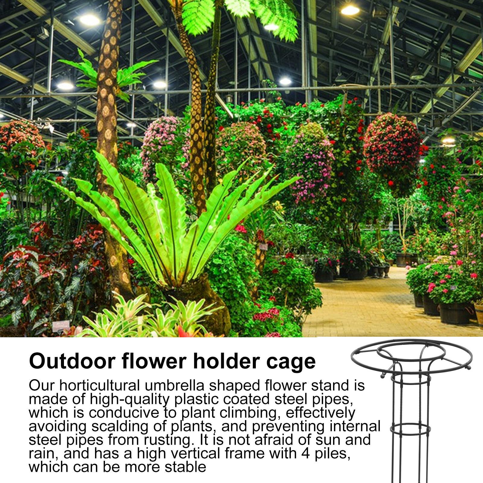 دعامة نباتات متسلقة للحديقة عل - مراجعة Vertical Wall Planter وسعره