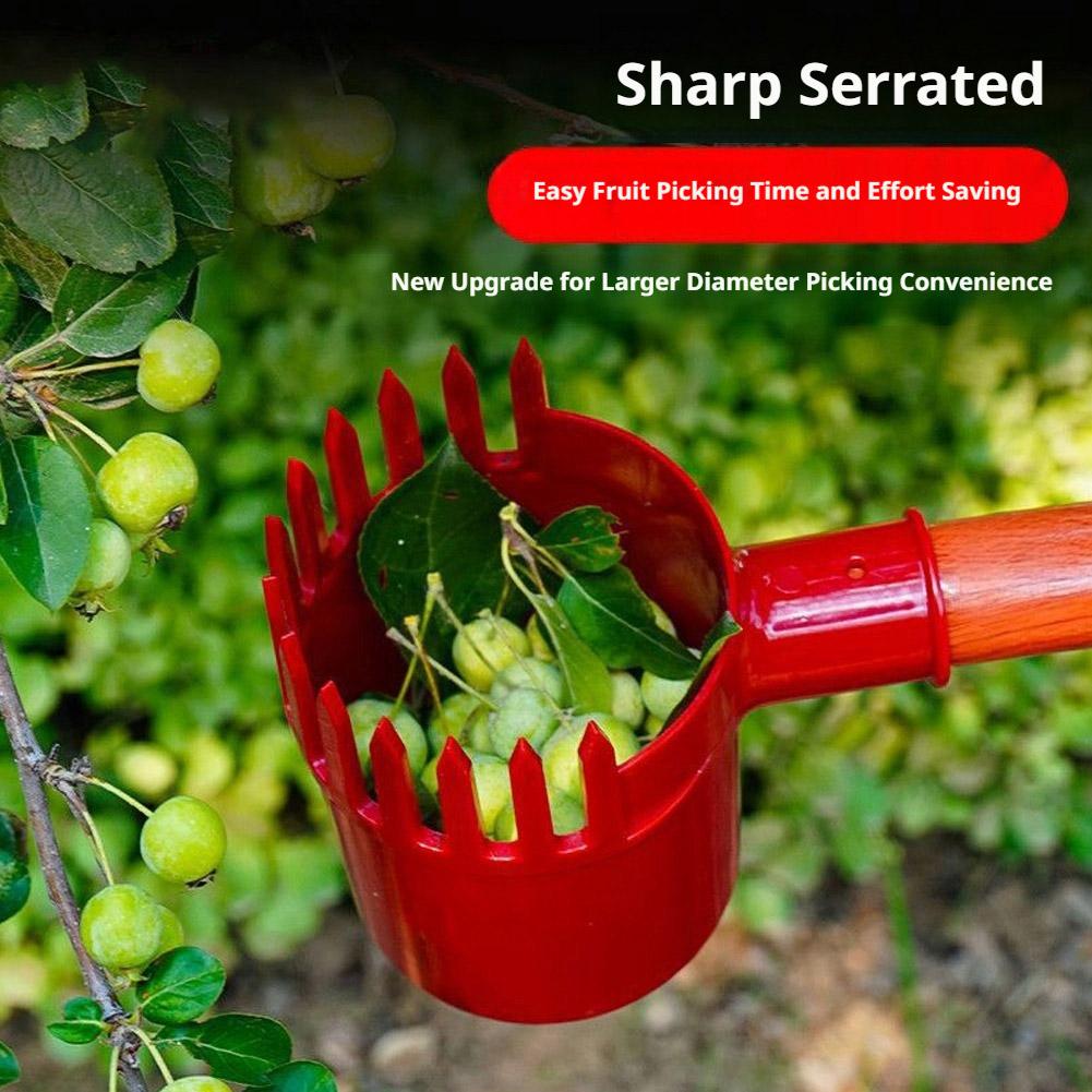 أداة قطف الفاكهة المحمولة مع س - مراجعة Gardening Tools Basket وسعره