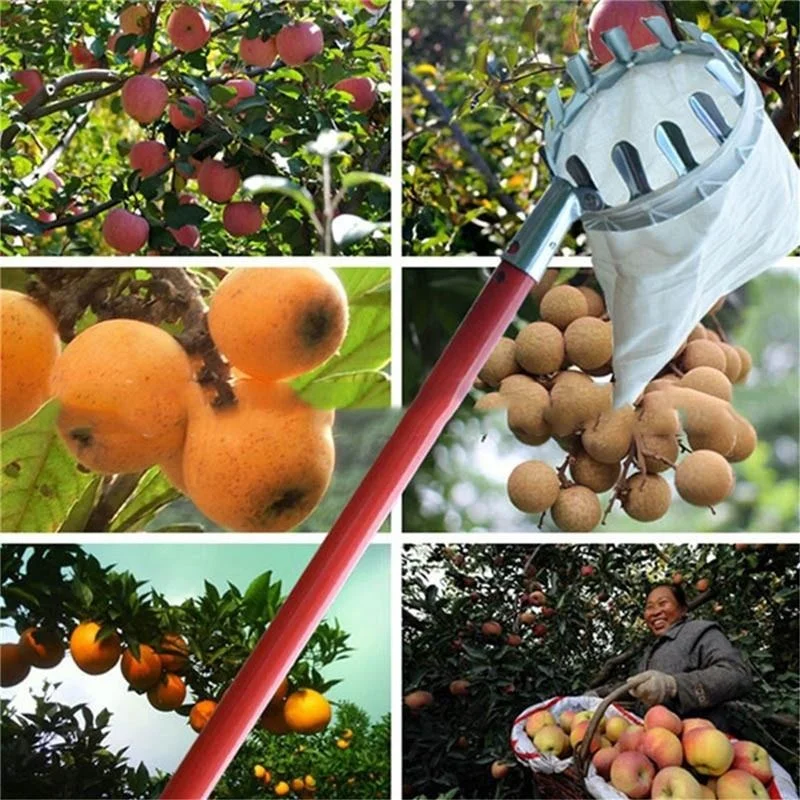 أداة التقاط الفاكهة للحدائق وا - مراجعة Gardening Tools Bag وسعره