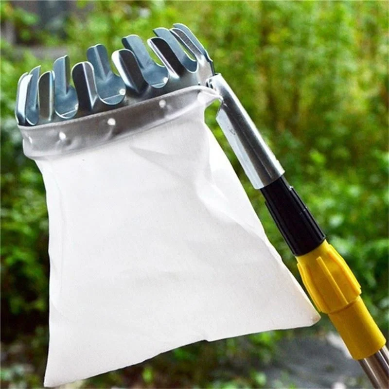 أداة التقاط الفاكهة للحدائق وا - مراجعة Gardening Tools Bag وسعره