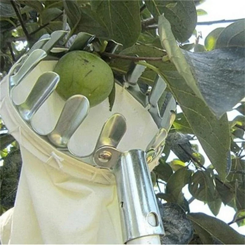 أداة التقاط الفاكهة للحدائق وا - مراجعة Gardening Tools Bag وسعره