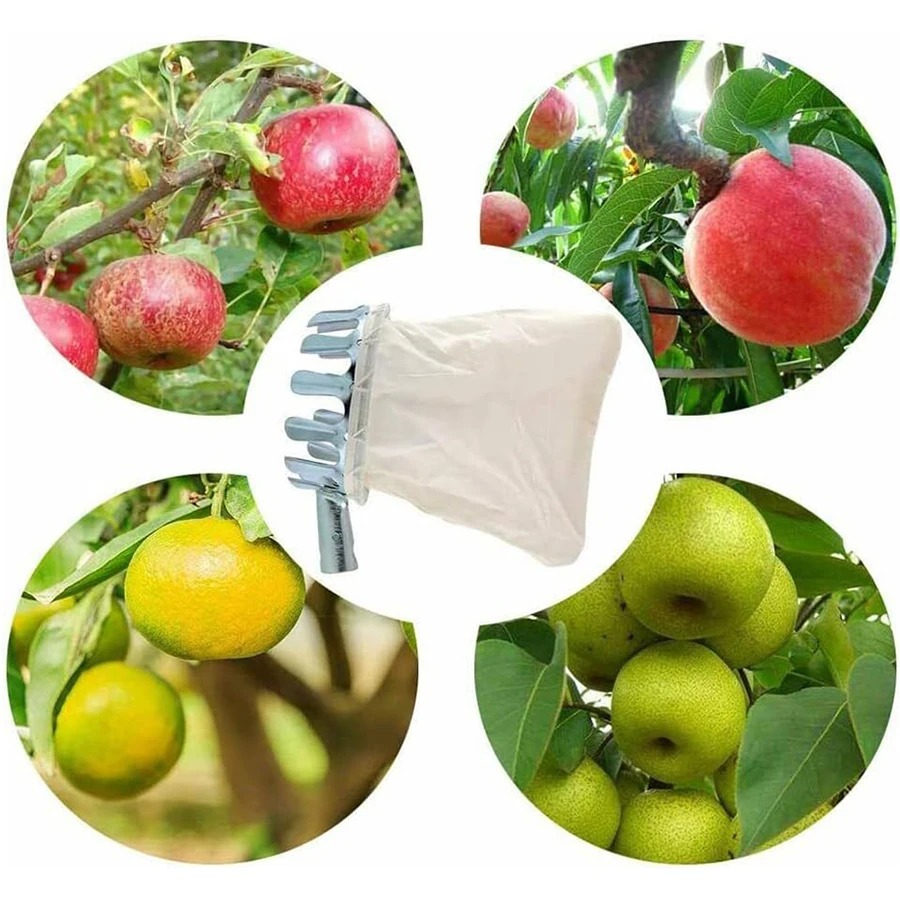 أداة احترافية لقطف التوت، سلة  - مراجعة Gardening Tools Basket وسعره