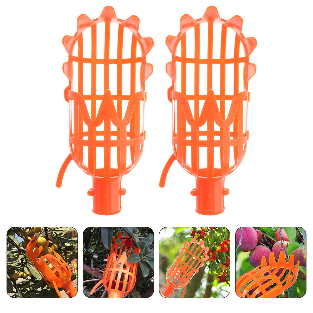 سلة بلاستيكية لجمع الفاكهة، قط - مراجعة Gardening Tools Basket وسعره