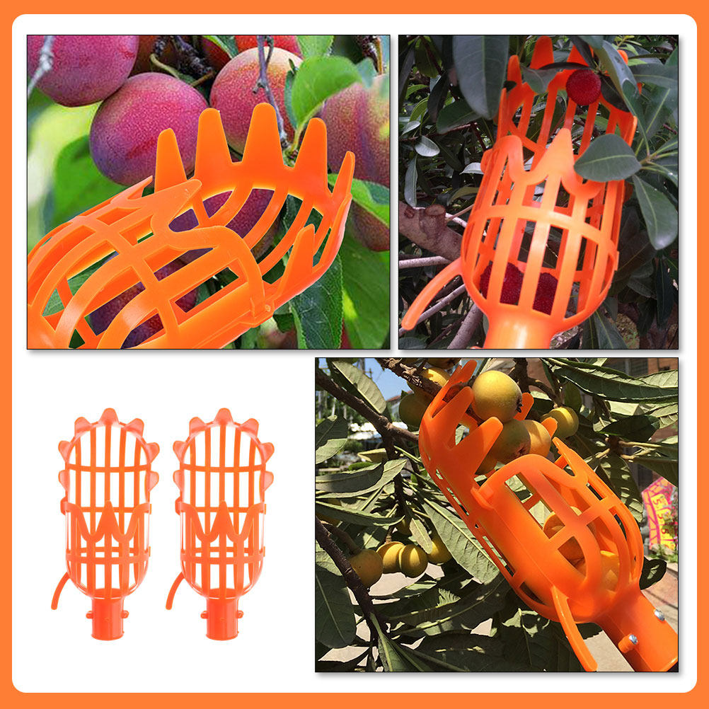 سلة بلاستيكية لجمع الفاكهة، قط - مراجعة Gardening Tools Basket وسعره