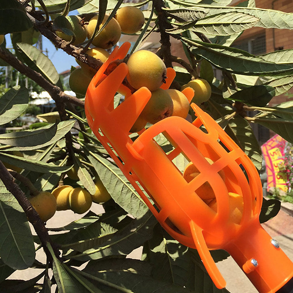 سلة بلاستيكية لجمع الفاكهة، قط - مراجعة Gardening Tools Basket وسعره