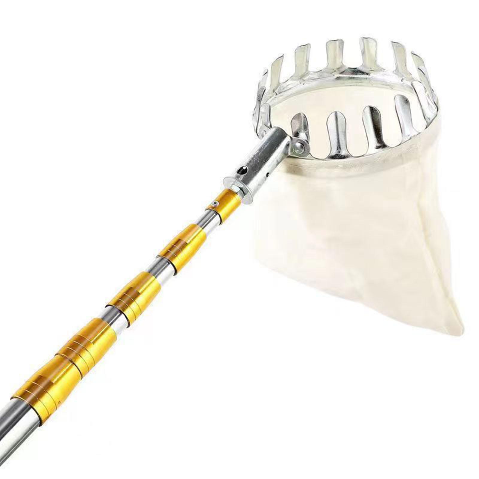 أداة قطف الفواكه، سلة حصاد الف - مراجعة Gardening Tools Basket وسعره